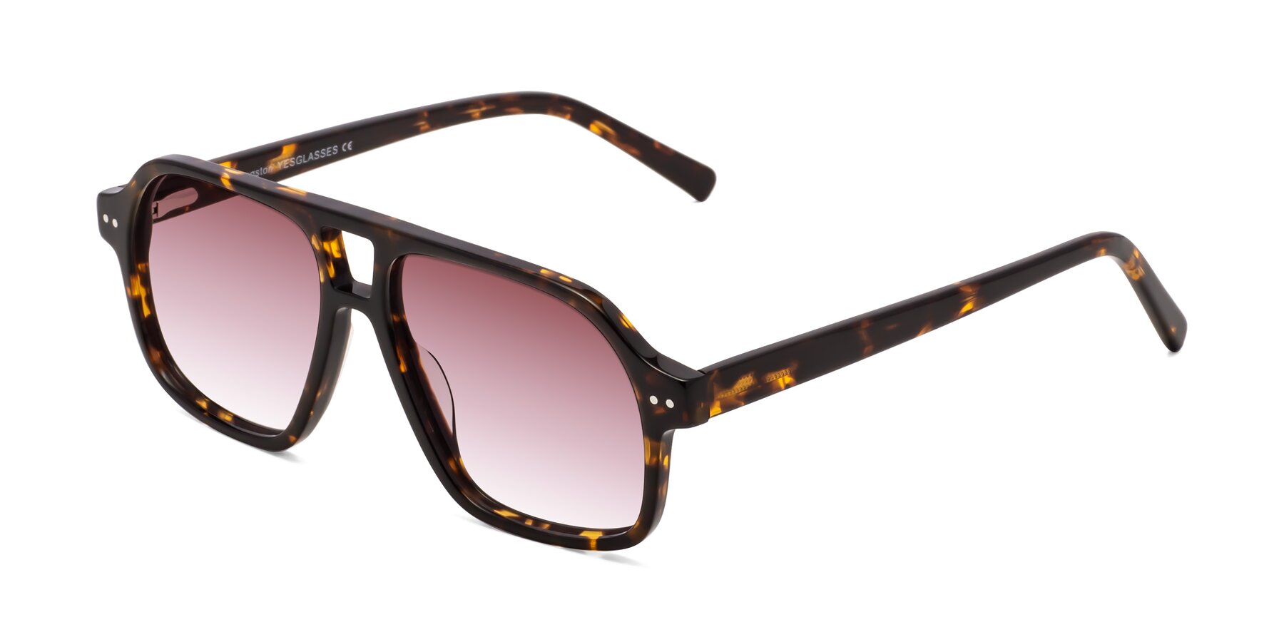 Angle of Kingston in Tortoise with Garnet Gradient Lenses