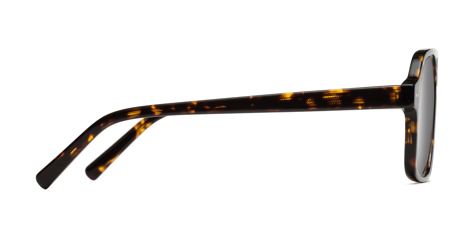 Side of Kingston in Tortoise with Silver Mirrored Lenses