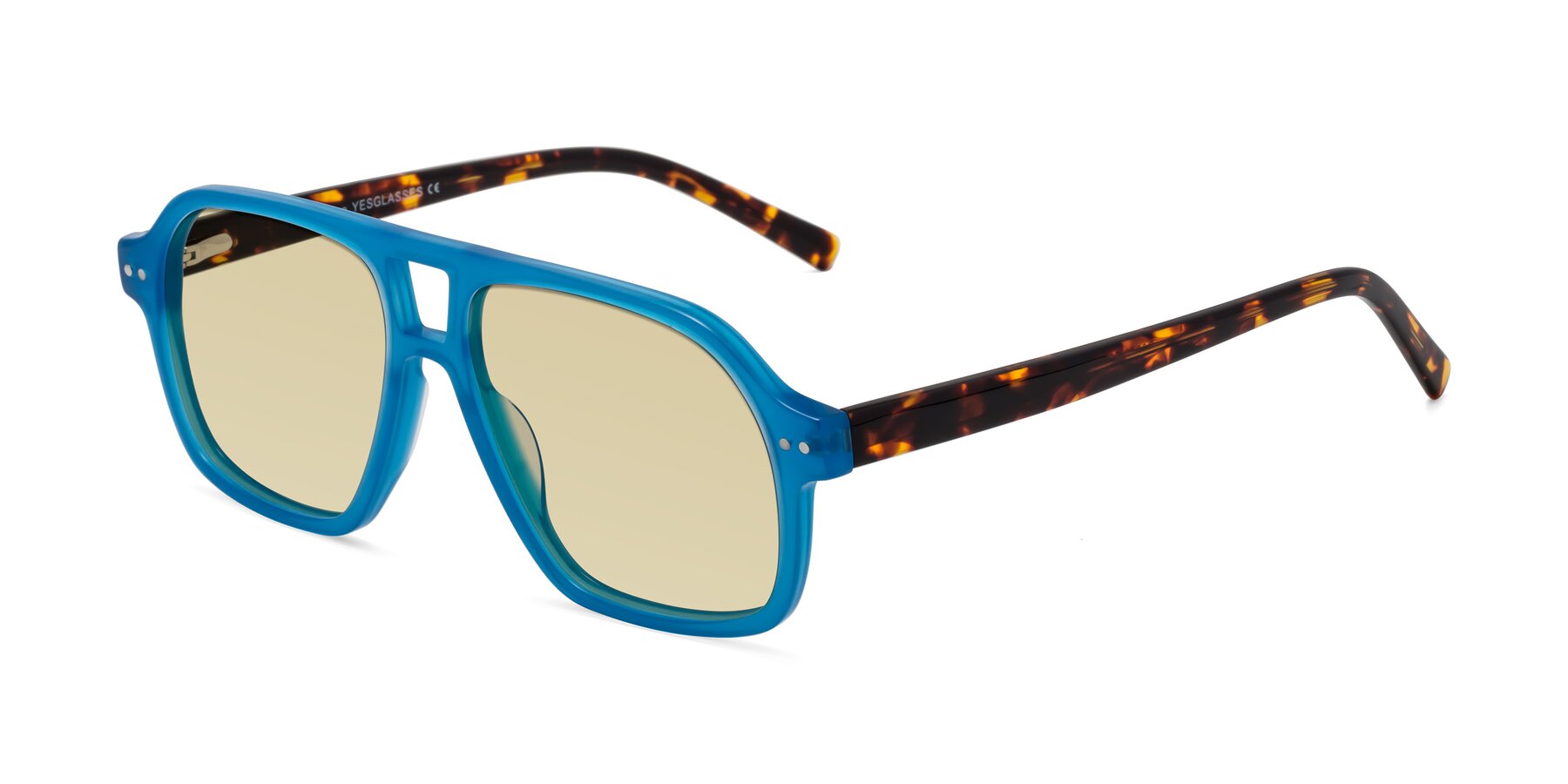 Angle of Kingston in Sky Blue-Tortoise with Light Champagne Tinted Lenses