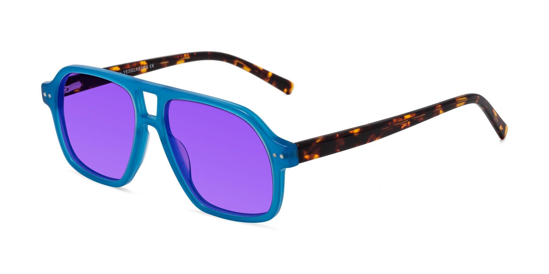 Angle of Kingston in Sky Blue-Tortoise with Purple Tinted Lenses