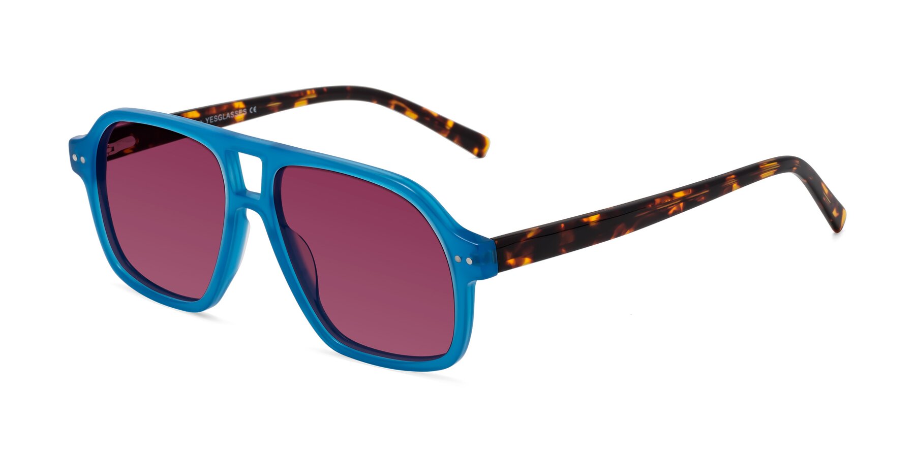 Angle of Kingston in Sky Blue-Tortoise with Wine Tinted Lenses