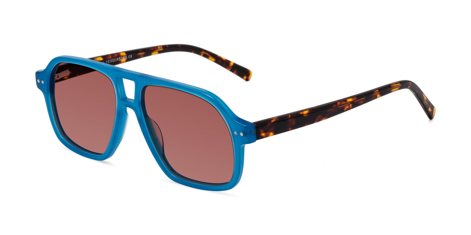 Angle of Kingston in Sky Blue-Tortoise with Garnet Tinted Lenses