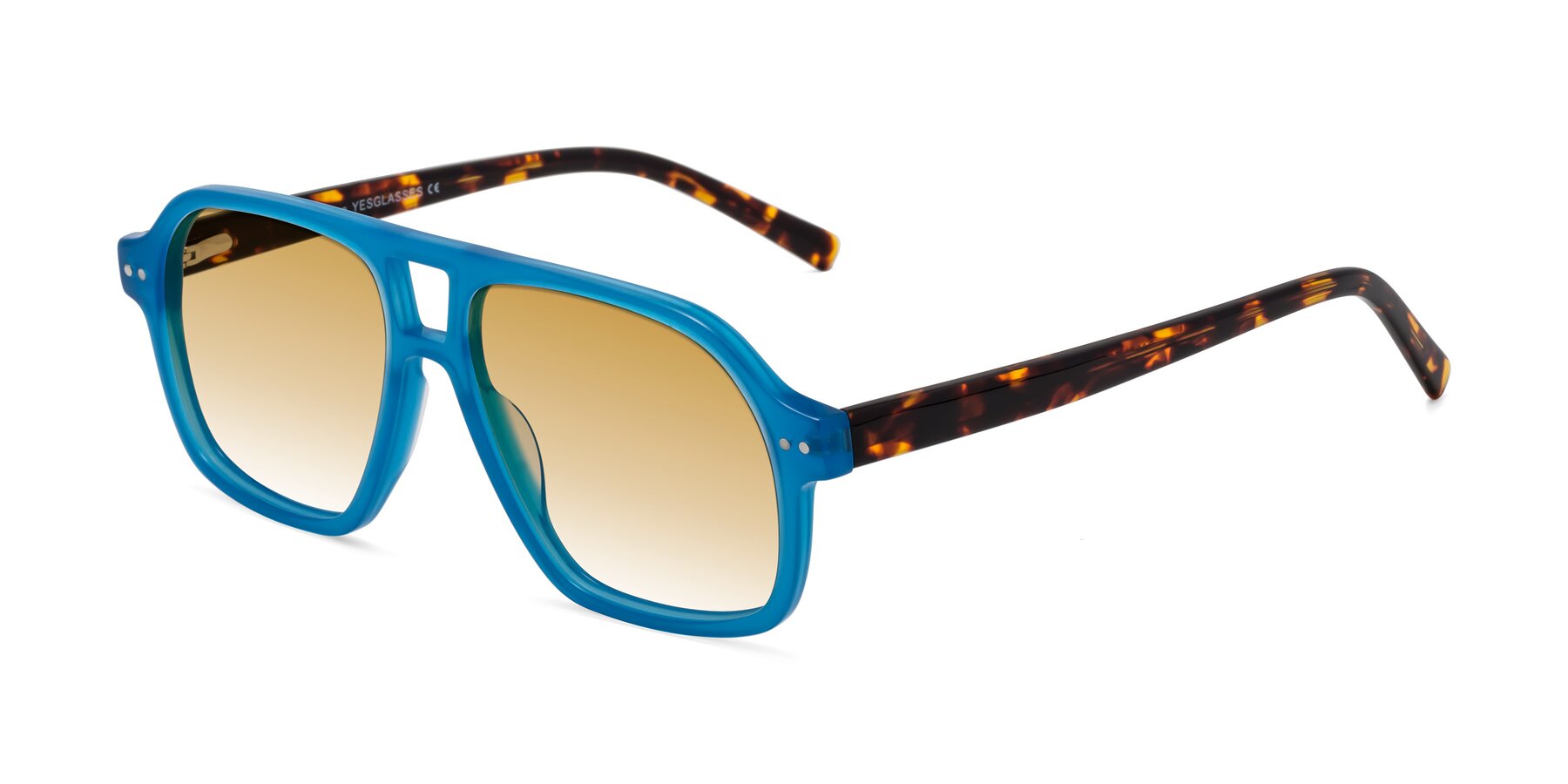 Angle of Kingston in Sky Blue-Tortoise with Champagne Gradient Lenses