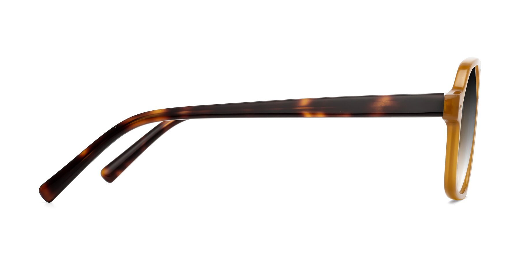 Side of Kingston in Caramel-Tortoise with Gray Gradient Lenses