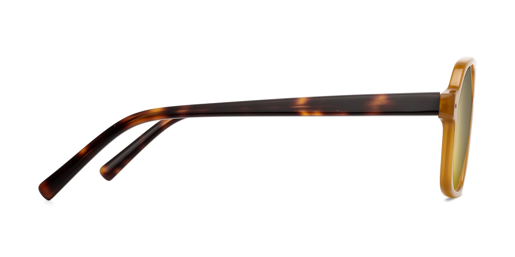 Side of Kingston in Caramel-Tortoise with Gold Mirrored Lenses