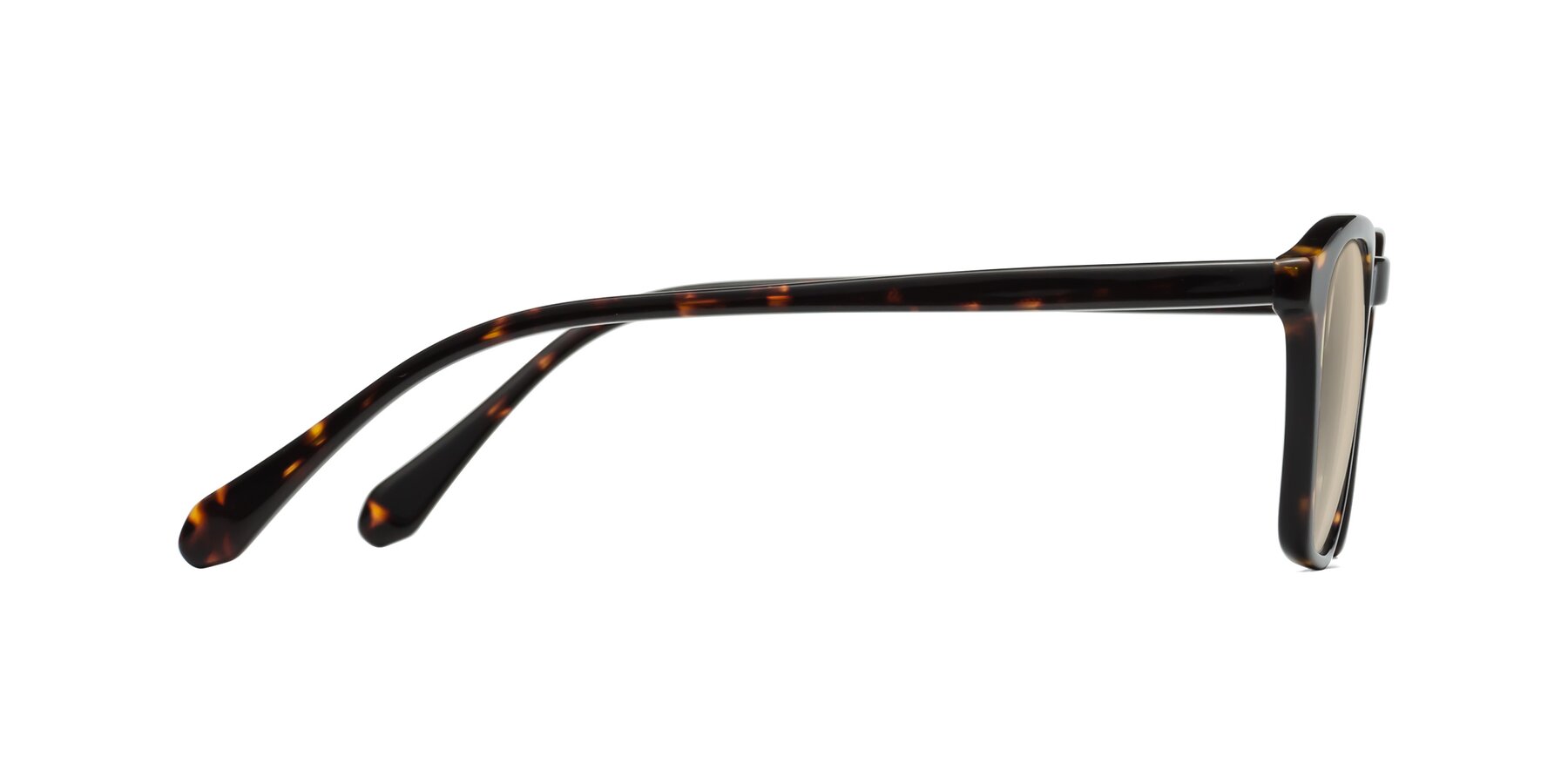 Side of Producer in Tortoise with Light Brown Tinted Lenses