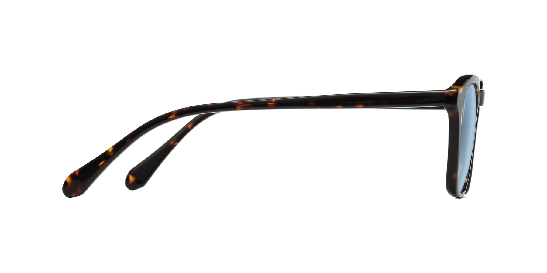 Side of Producer in Tortoise with Light Blue Tinted Lenses