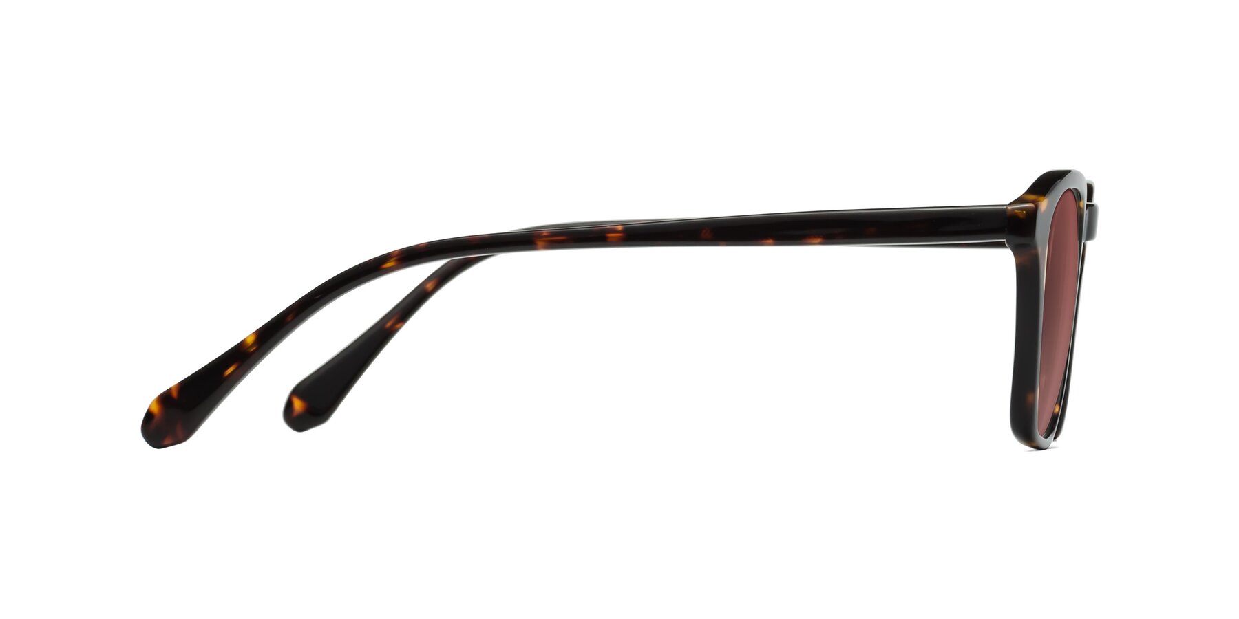 Side of Producer in Tortoise with Garnet Tinted Lenses