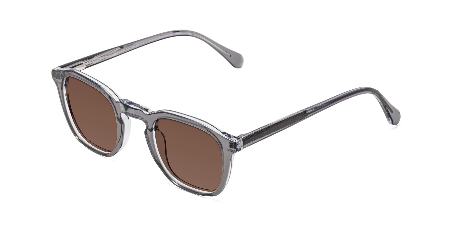 Angle of Producer in Transparent Gray with Brown Tinted Lenses