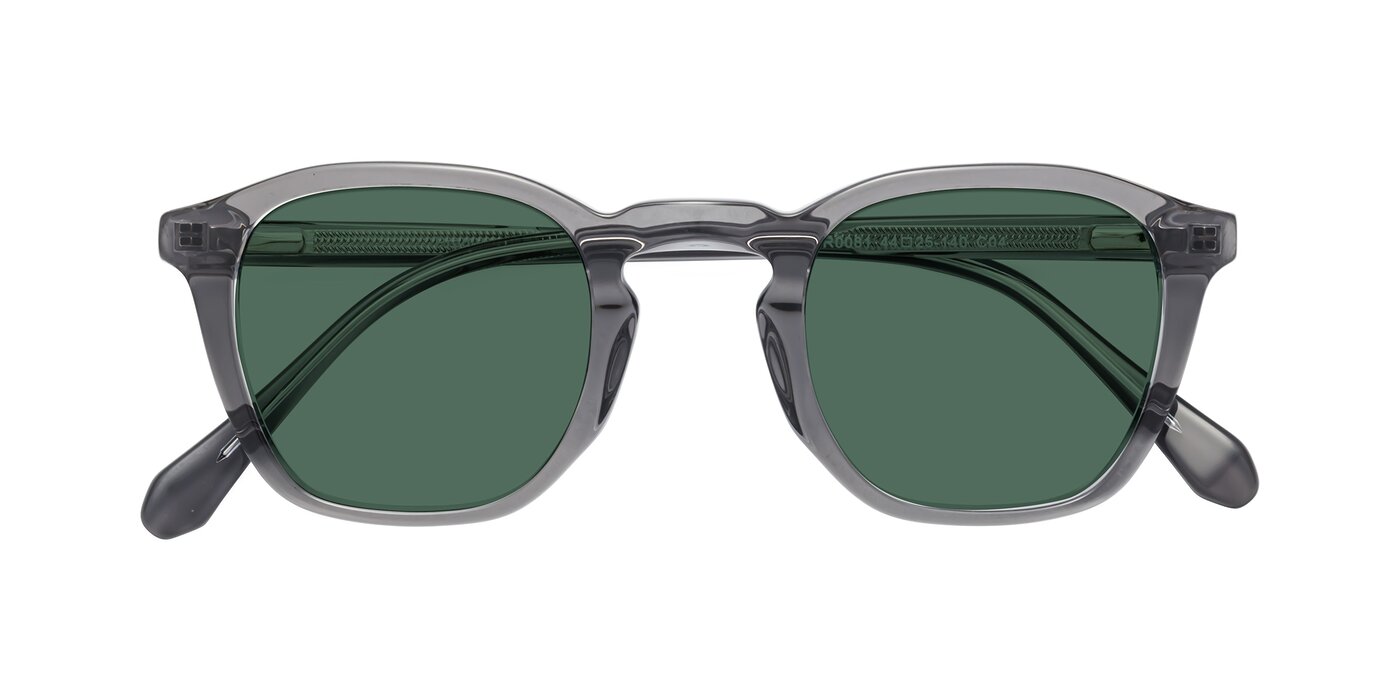Producer - Transparent Gray Polarized Sunglasses