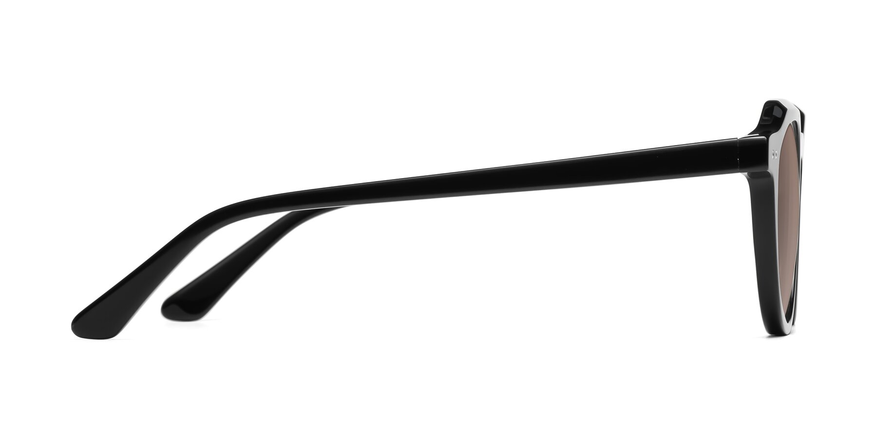 Side of Dyson in Black with Medium Brown Tinted Lenses