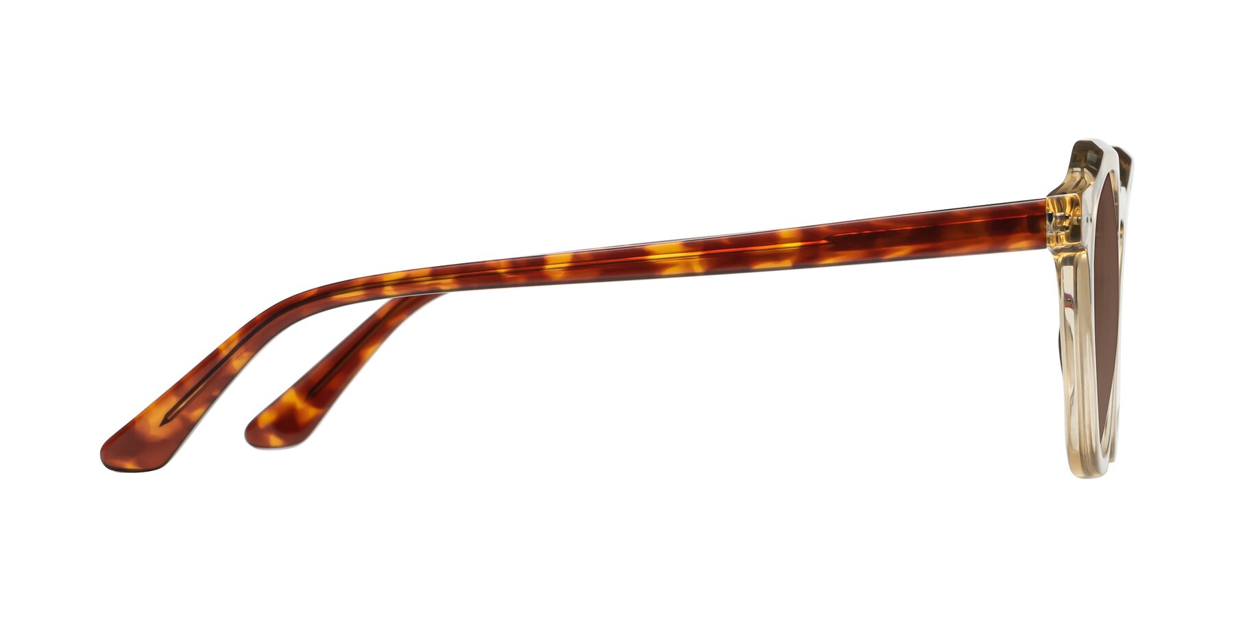 Side of Dyson in Amber-Tortoise with Brown Tinted Lenses