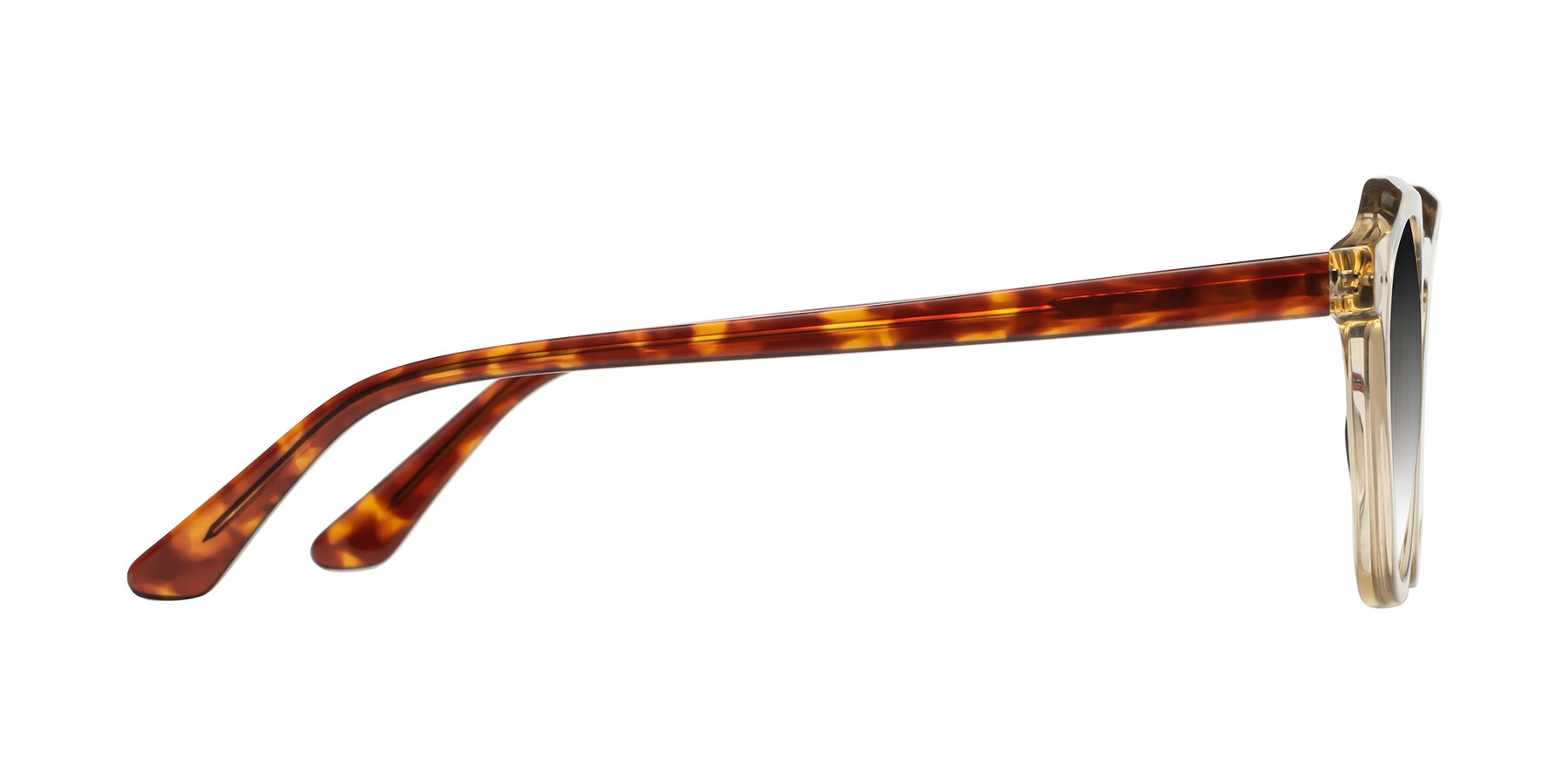 Side of Dyson in Amber-Tortoise with Gray Gradient Lenses