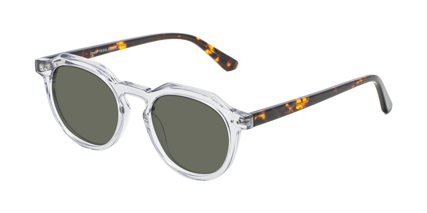 Angle of Dyson in Transparent Livid-Tortoise with Gray Polarized Lenses