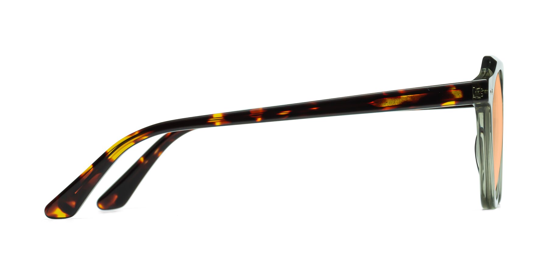 Side of Dyson in Transparent Green-Tortoise with Light Orange Tinted Lenses