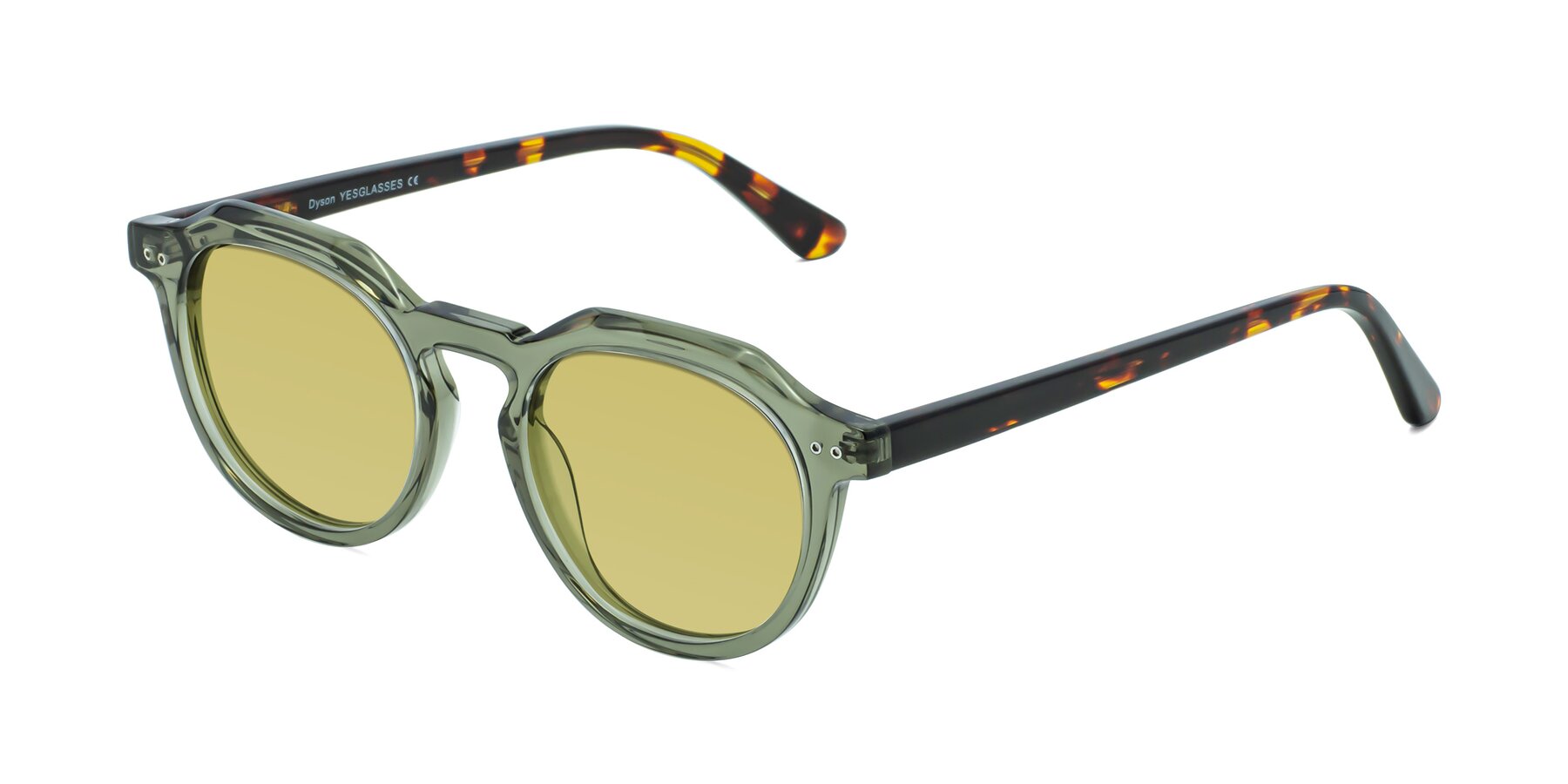 Angle of Dyson in Transparent Green-Tortoise with Medium Champagne Tinted Lenses