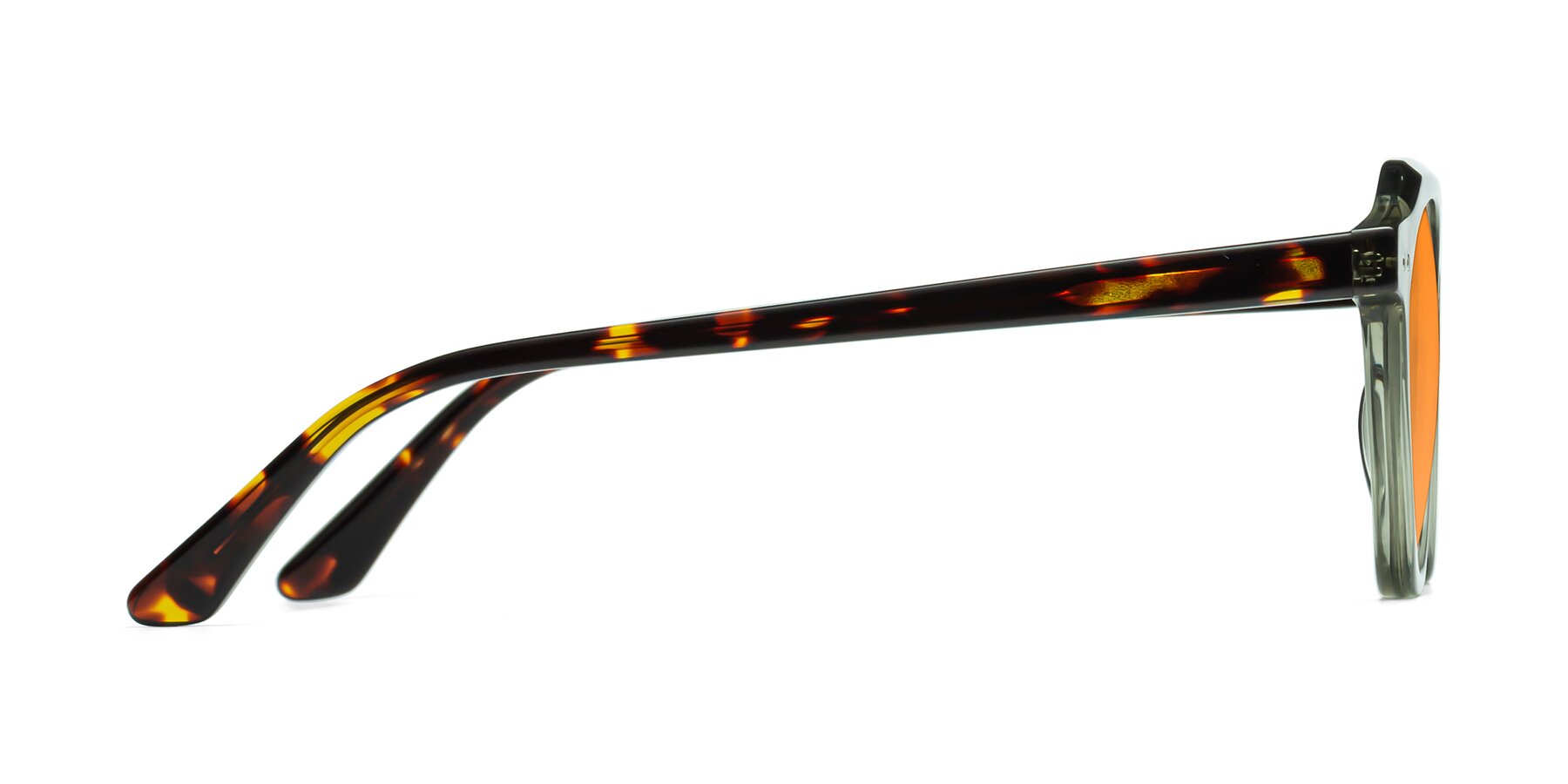 Side of Dyson in Transparent Green-Tortoise with Orange Tinted Lenses