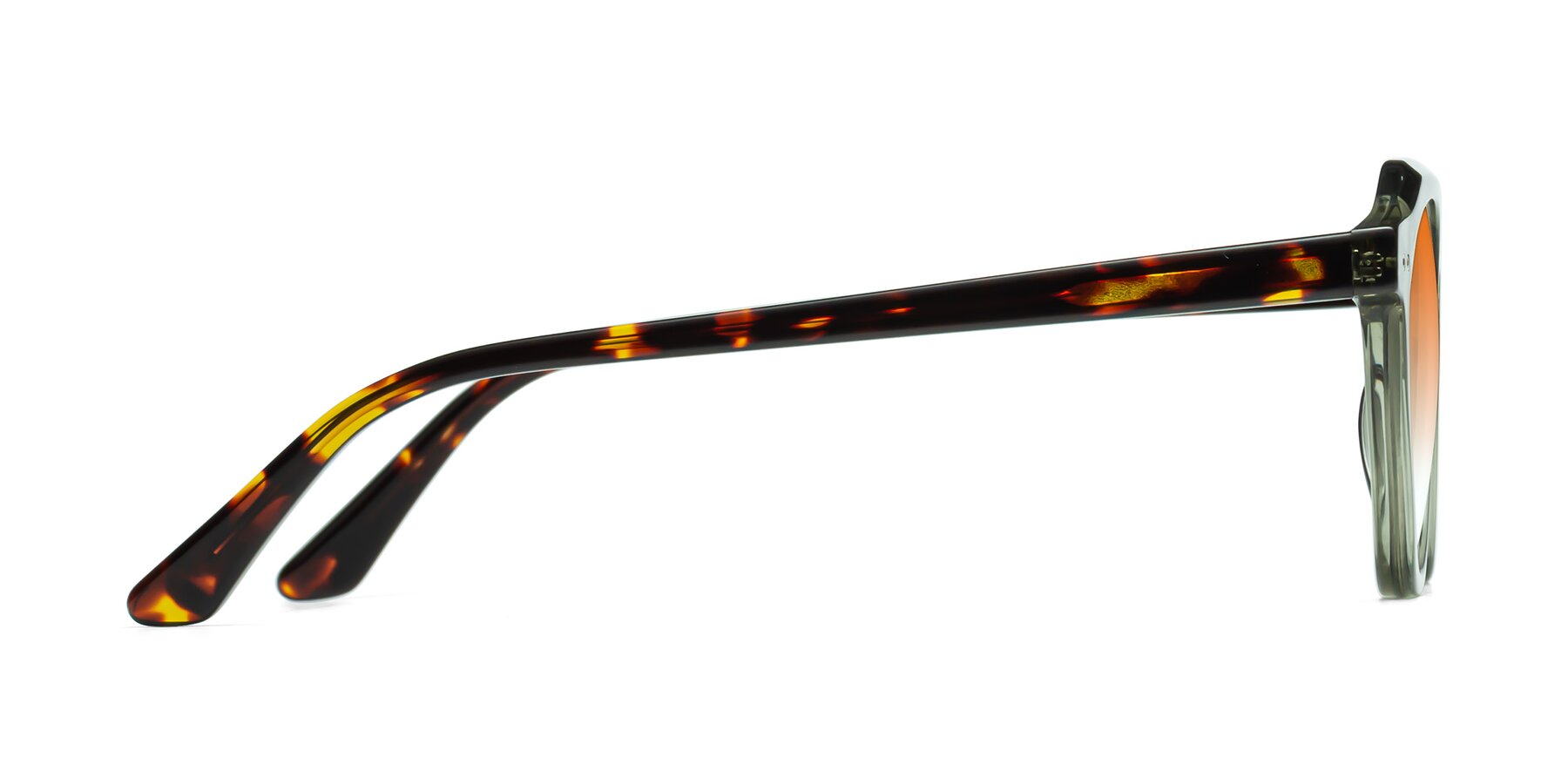 Side of Dyson in Transparent Green-Tortoise with Orange Gradient Lenses