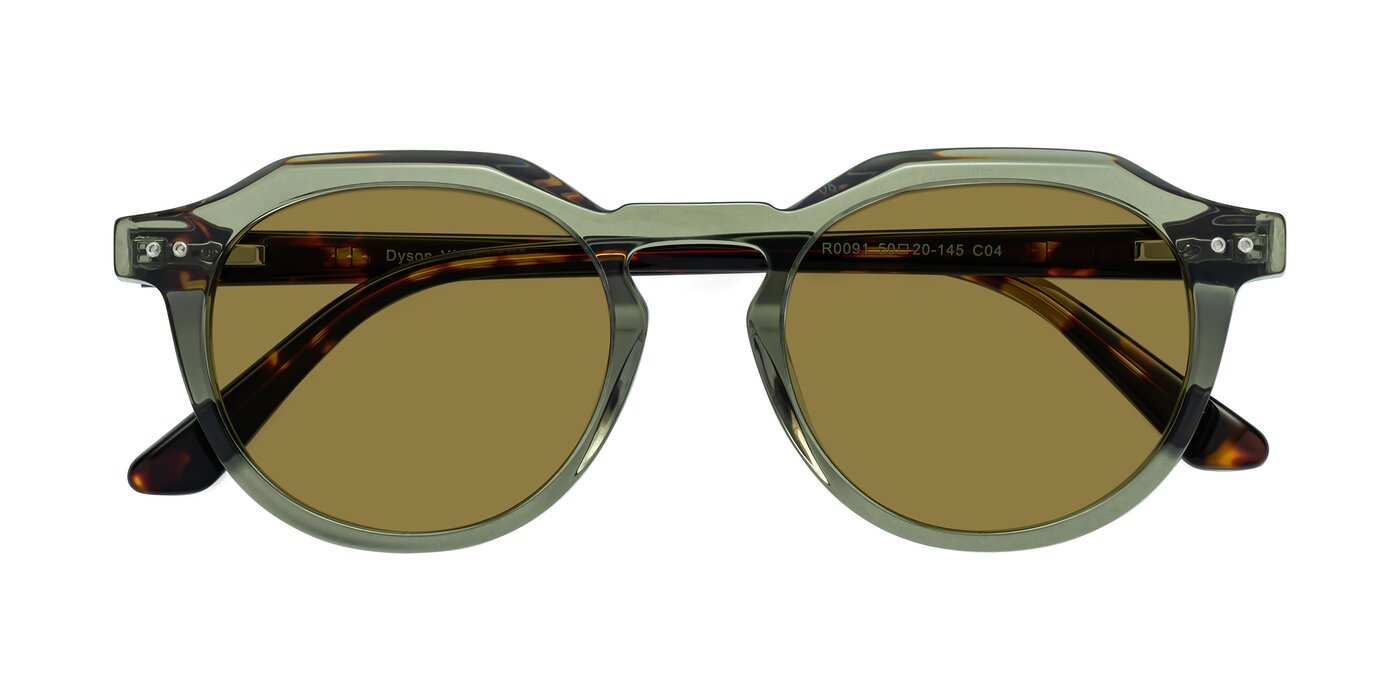 Dyson - Transparent Green / Tortoise Polarized Sunglasses