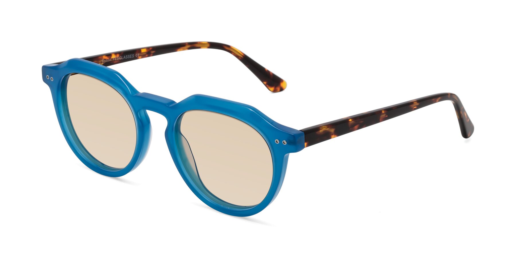 Angle of Dyson in Sky Blue-Tortoise with Light Brown Tinted Lenses