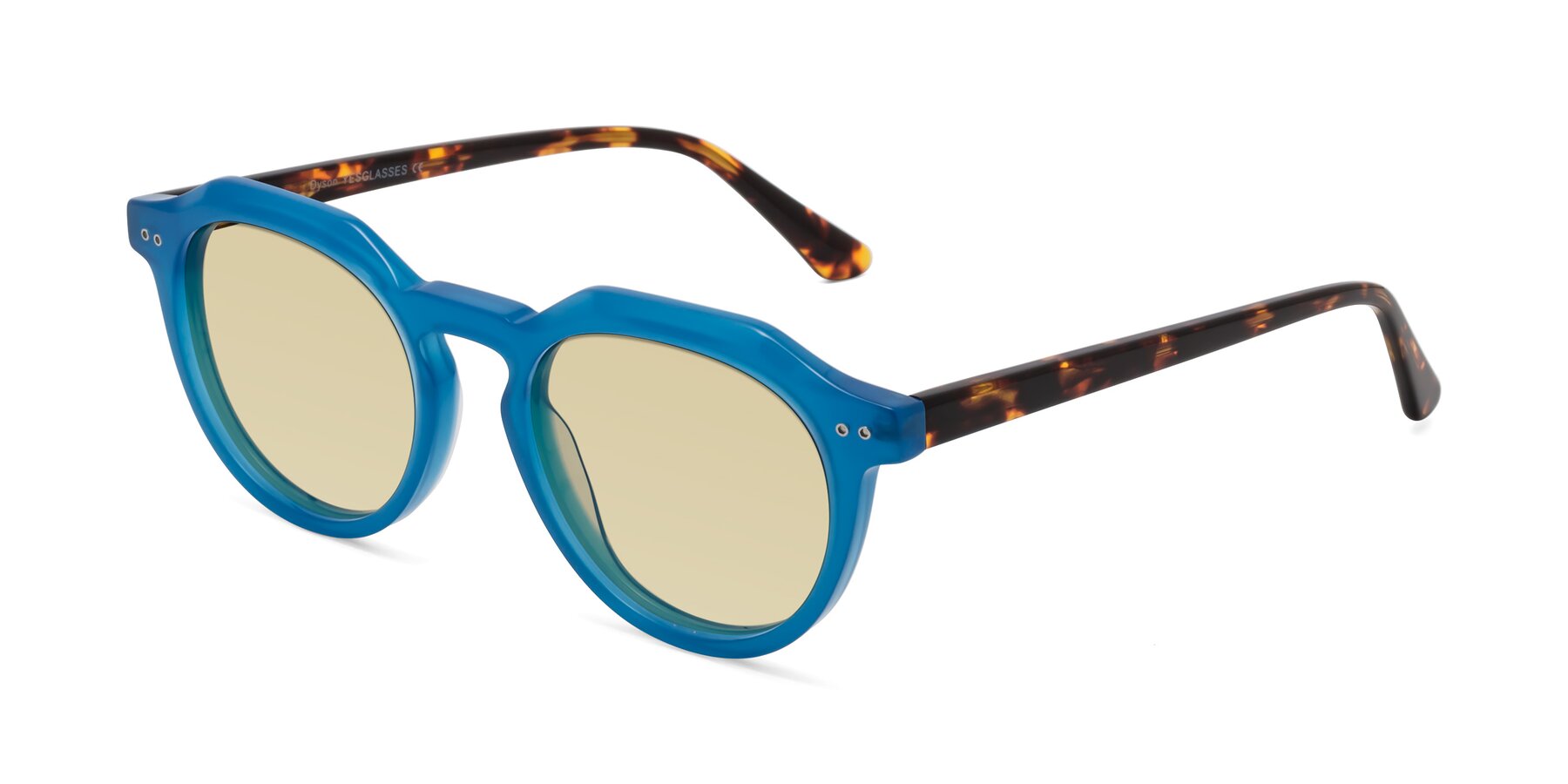 Angle of Dyson in Sky Blue-Tortoise with Light Champagne Tinted Lenses