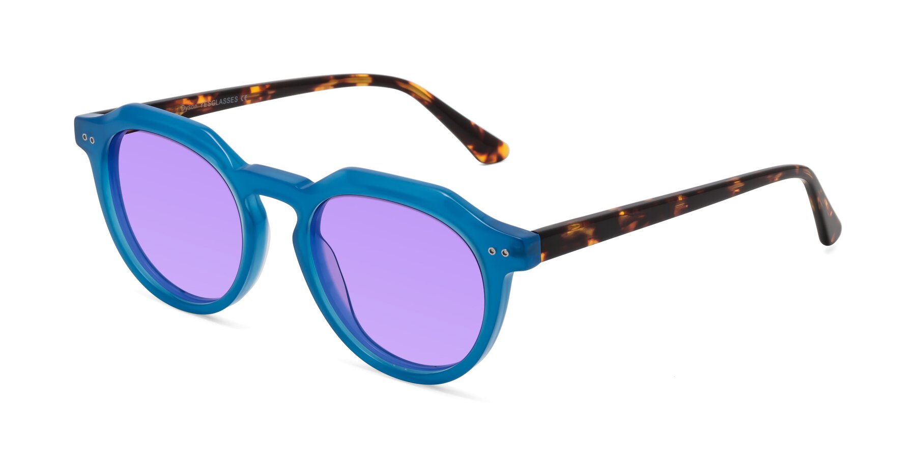 Angle of Dyson in Sky Blue-Tortoise with Medium Purple Tinted Lenses