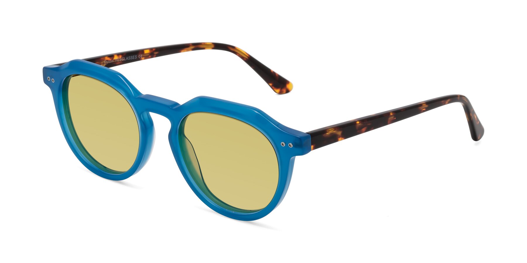 Angle of Dyson in Sky Blue-Tortoise with Medium Champagne Tinted Lenses