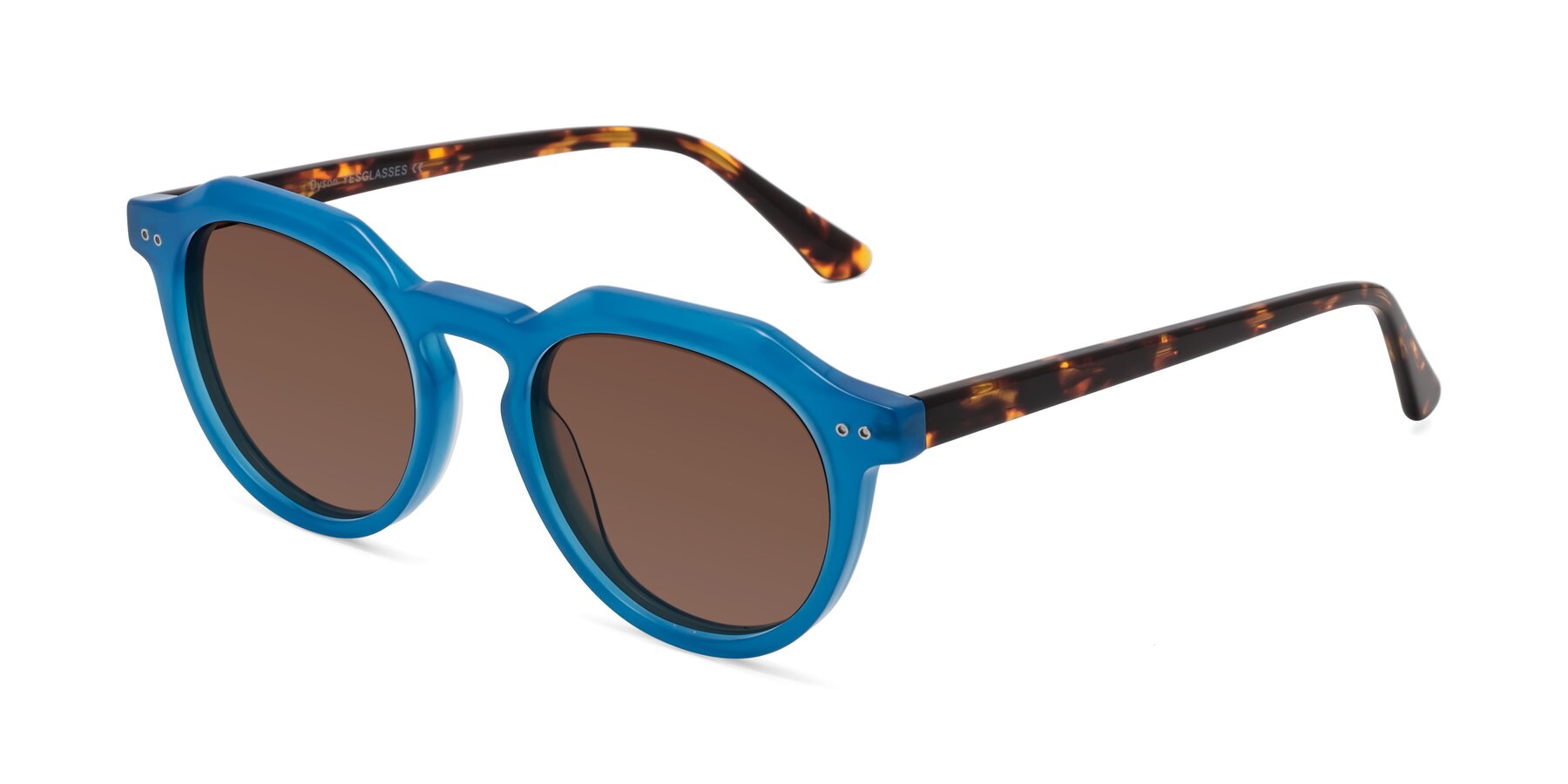 Angle of Dyson in Sky Blue-Tortoise with Brown Tinted Lenses