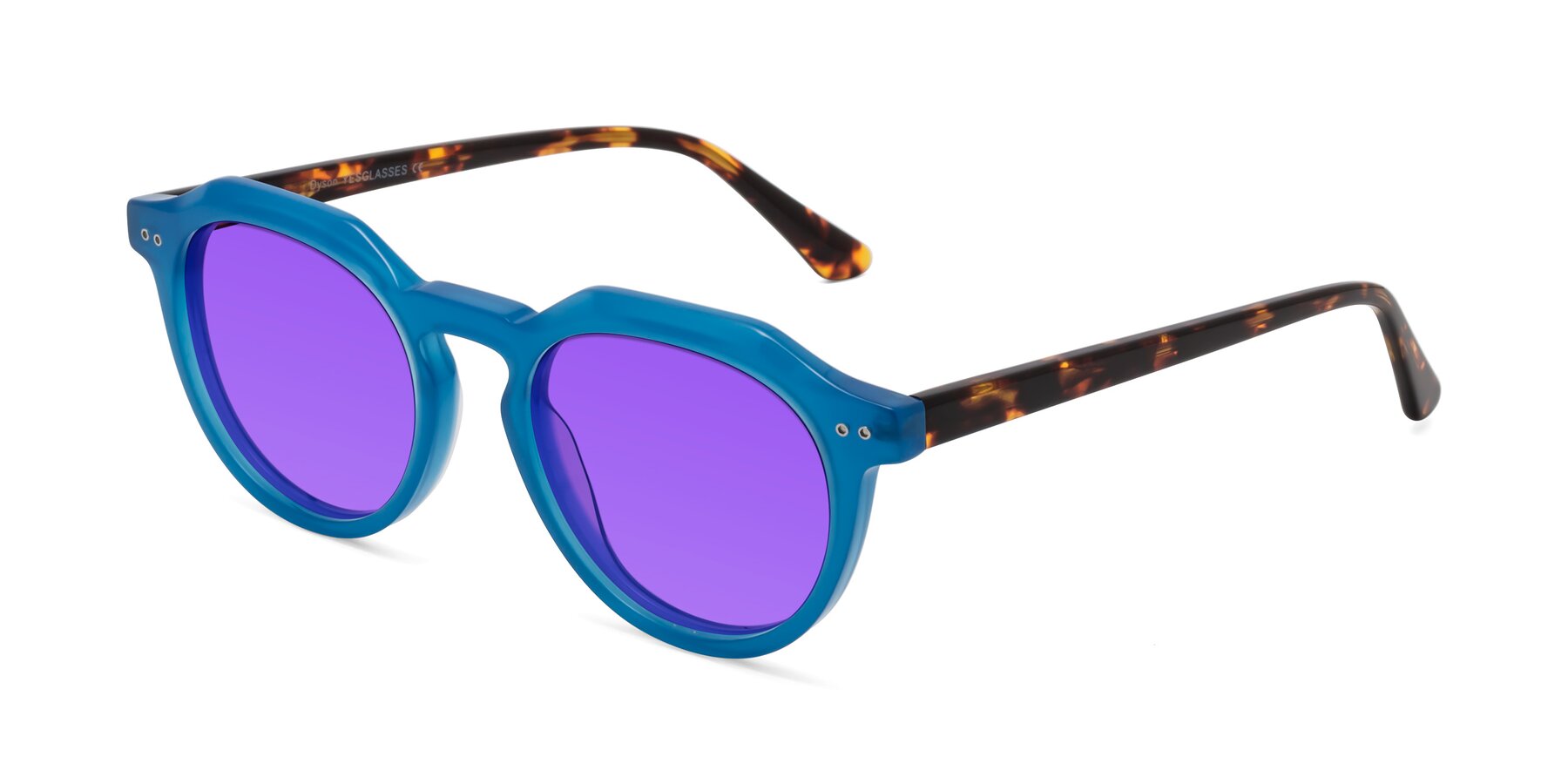 Angle of Dyson in Sky Blue-Tortoise with Purple Tinted Lenses