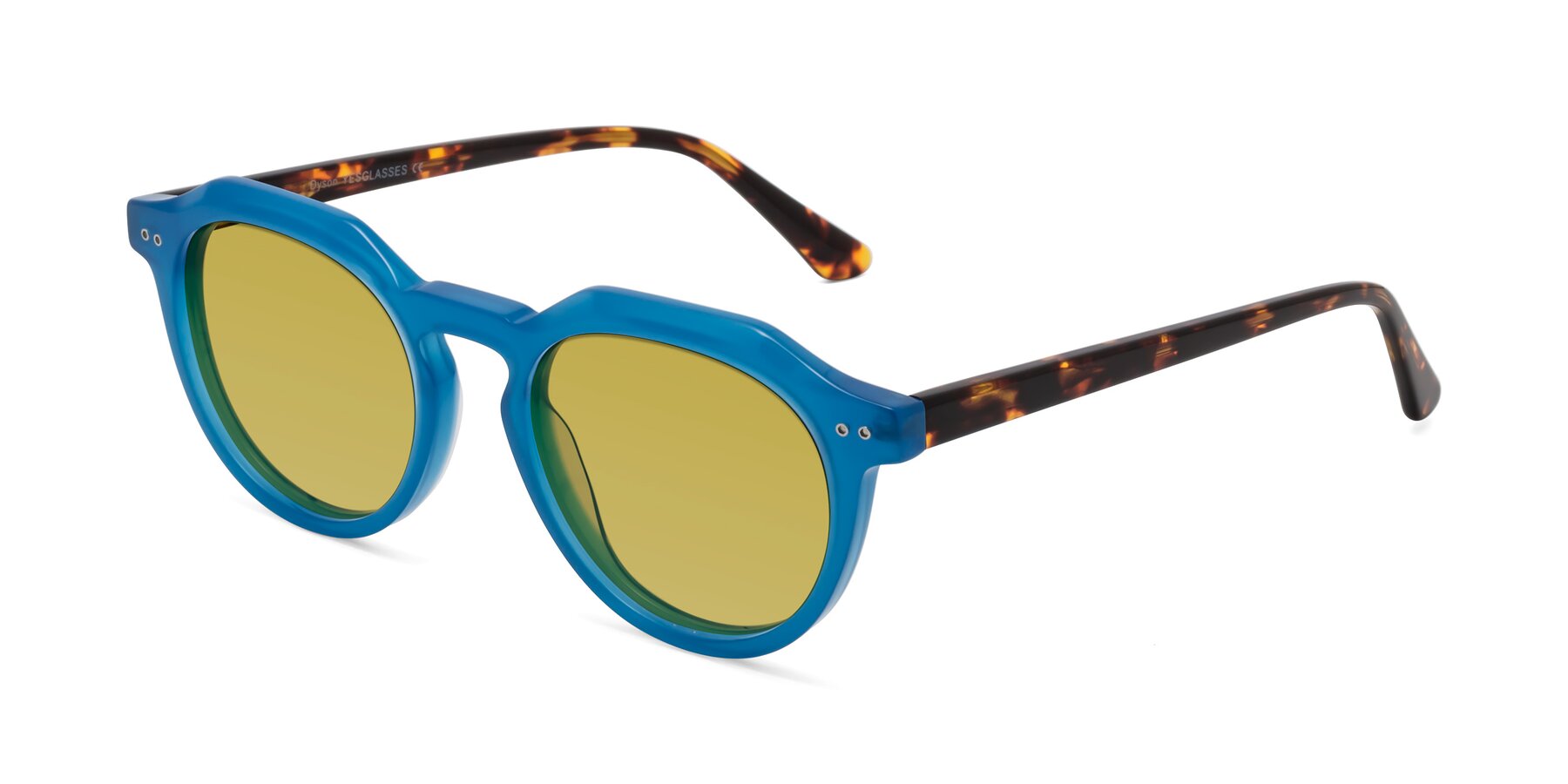 Angle of Dyson in Sky Blue-Tortoise with Champagne Tinted Lenses