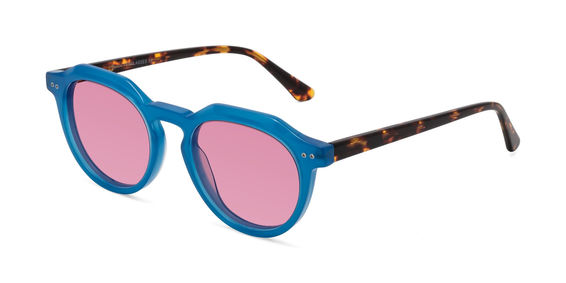 Angle of Dyson in Sky Blue-Tortoise with Medium Wine Tinted Lenses