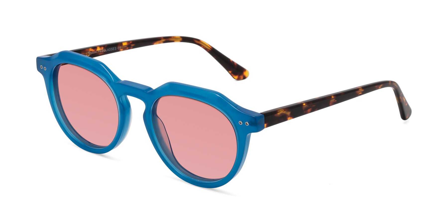 Angle of Dyson in Sky Blue-Tortoise with Medium Garnet Tinted Lenses