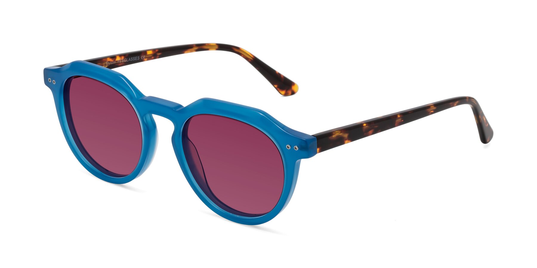 Angle of Dyson in Sky Blue-Tortoise with Wine Tinted Lenses