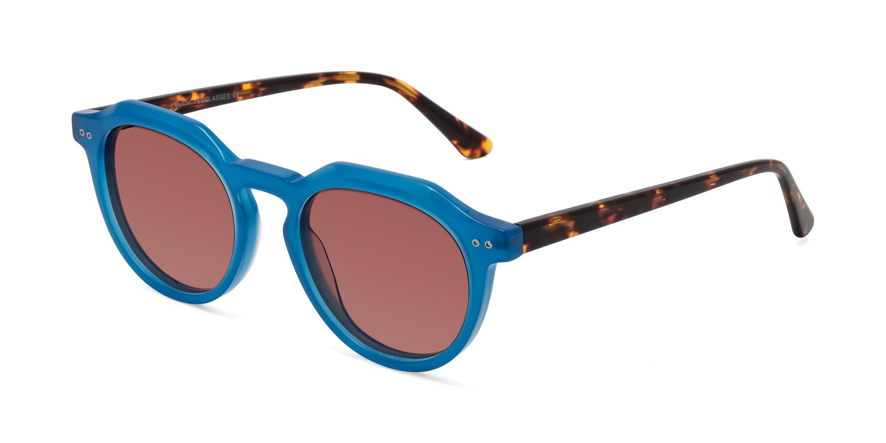 Angle of Dyson in Sky Blue-Tortoise with Garnet Tinted Lenses