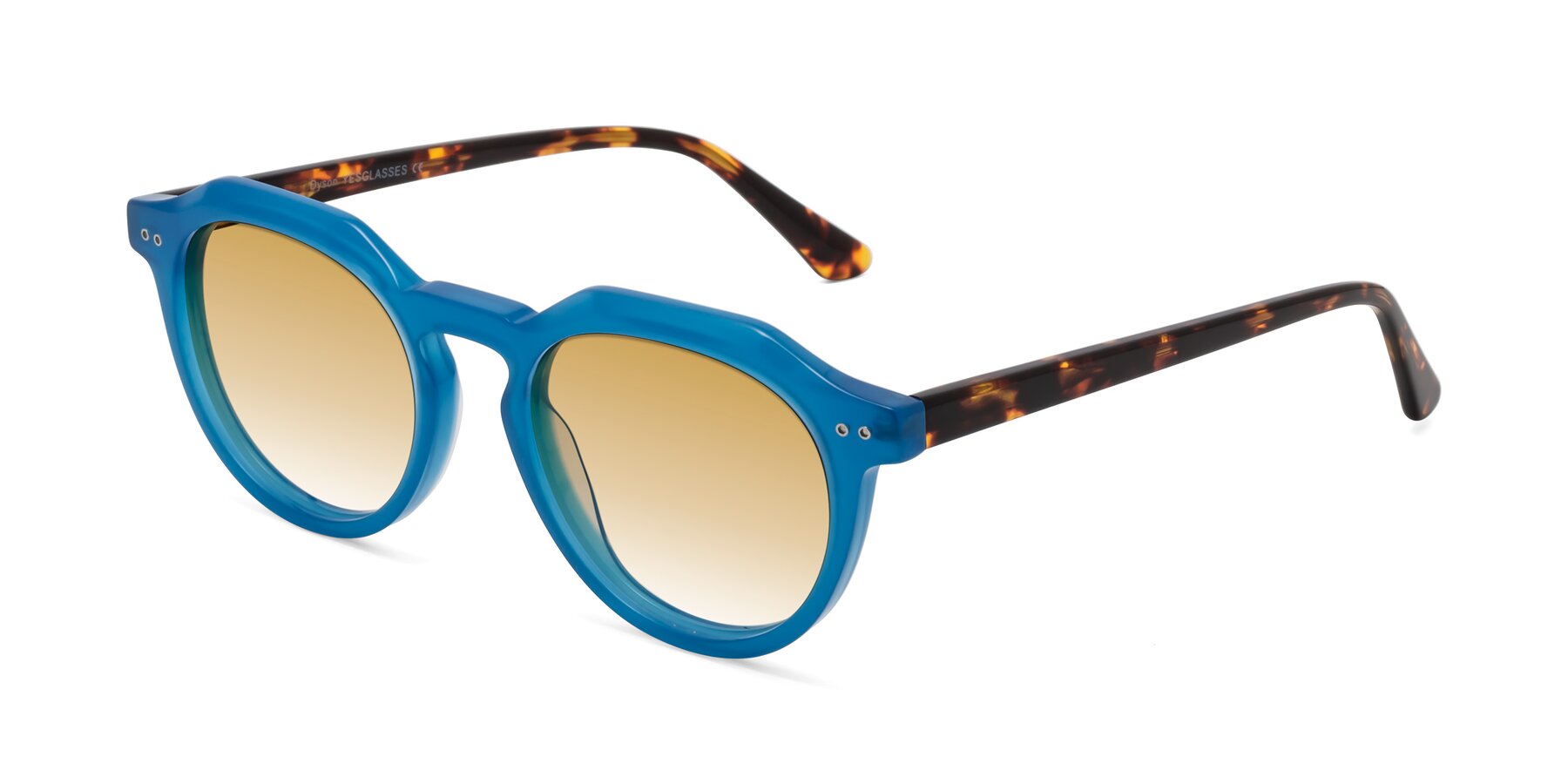 Angle of Dyson in Sky Blue-Tortoise with Champagne Gradient Lenses