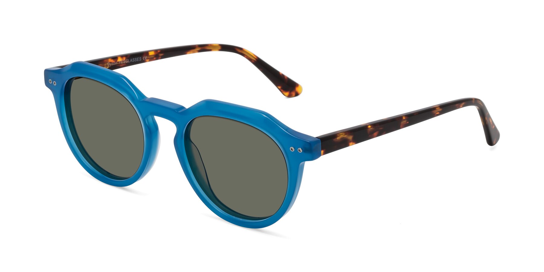 Angle of Dyson in Sky Blue-Tortoise with Gray Polarized Lenses