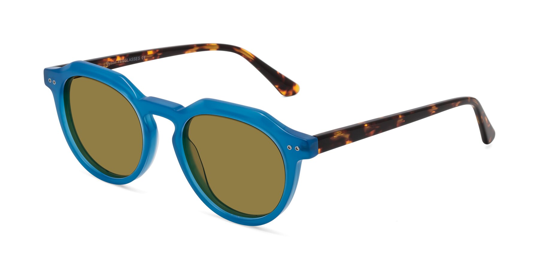 Angle of Dyson in Sky Blue-Tortoise with Brown Polarized Lenses