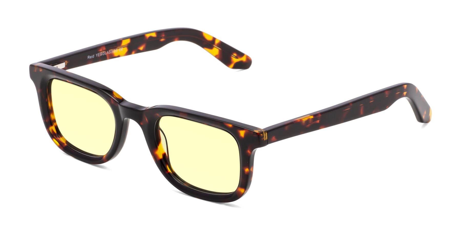 Angle of Reid in Tortoise with Light Yellow Tinted Lenses