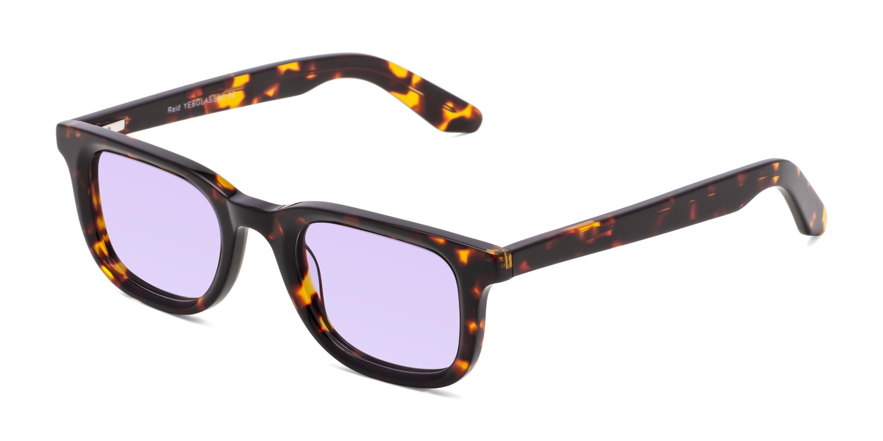 Angle of Reid in Tortoise with Light Purple Tinted Lenses