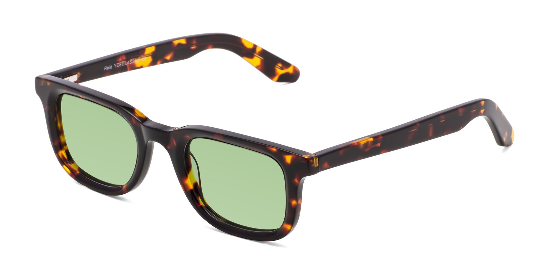 Angle of Reid in Tortoise with Medium Green Tinted Lenses