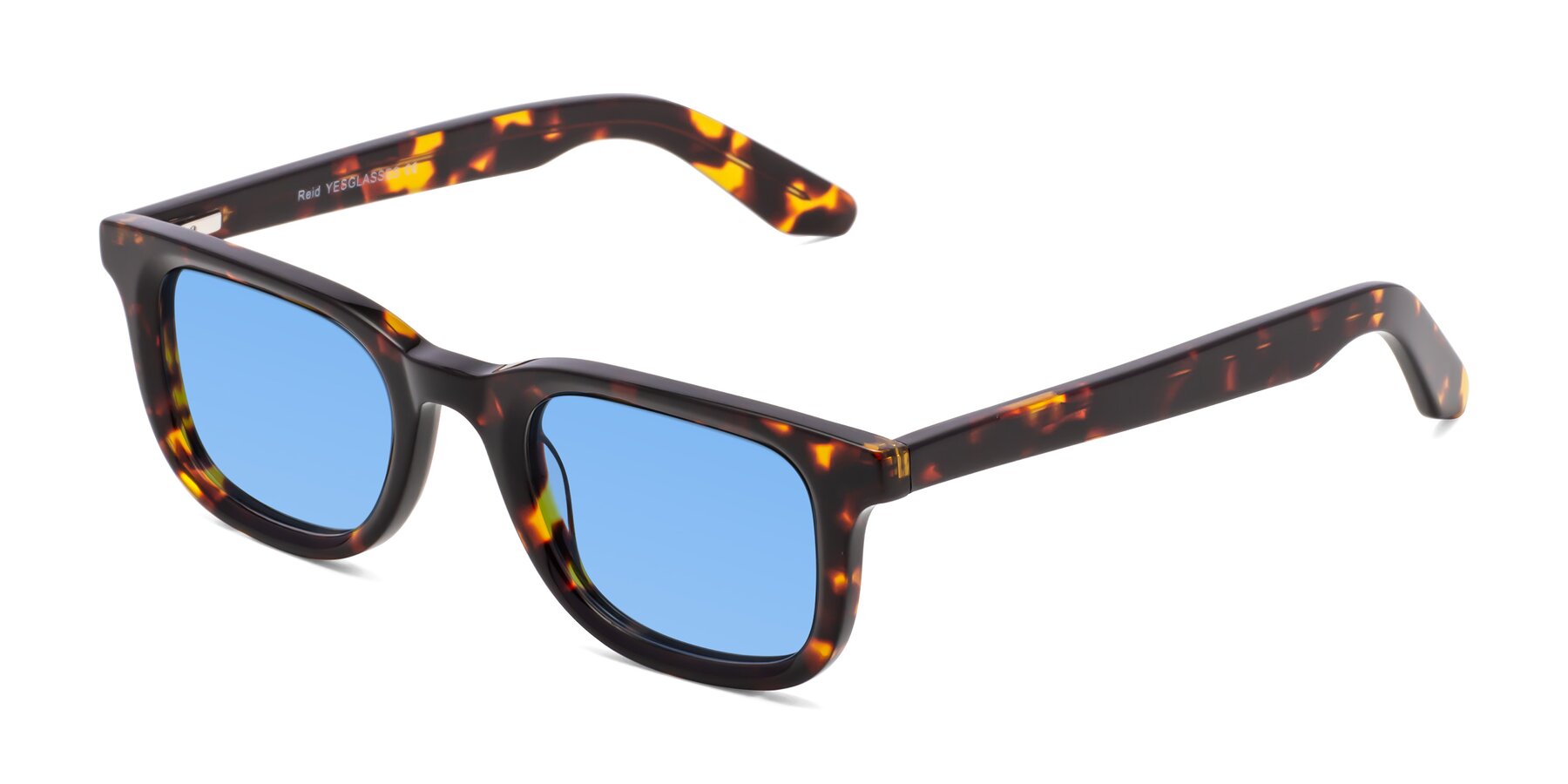 Angle of Reid in Tortoise with Medium Blue Tinted Lenses