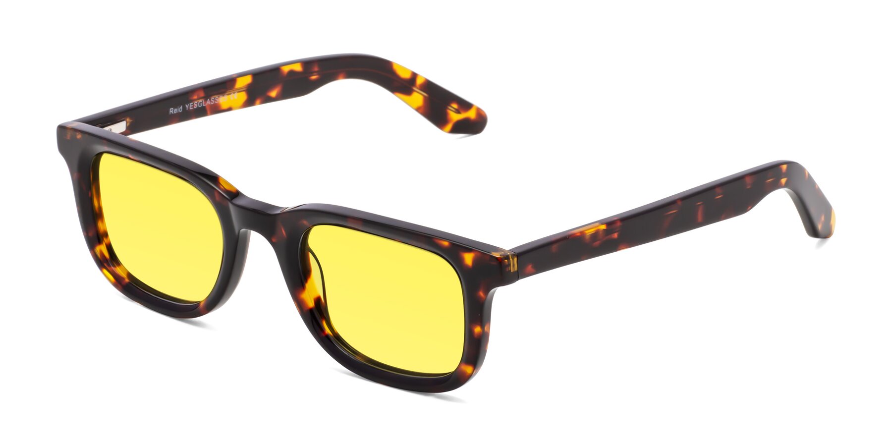 Angle of Reid in Tortoise with Medium Yellow Tinted Lenses