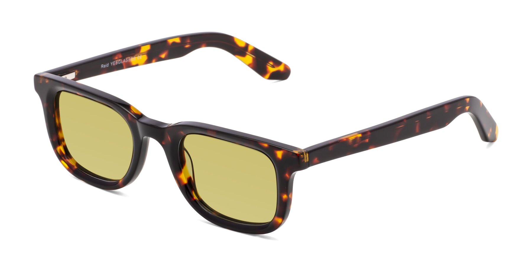 Angle of Reid in Tortoise with Medium Champagne Tinted Lenses