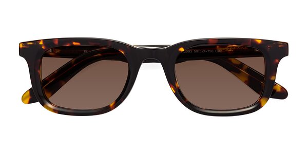 Front of Reid in Tortoise