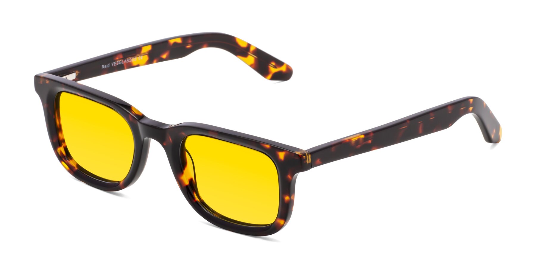 Angle of Reid in Tortoise with Yellow Tinted Lenses