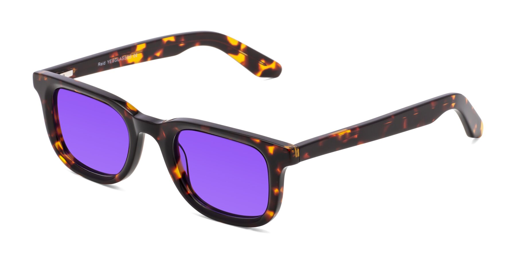 Angle of Reid in Tortoise with Purple Tinted Lenses