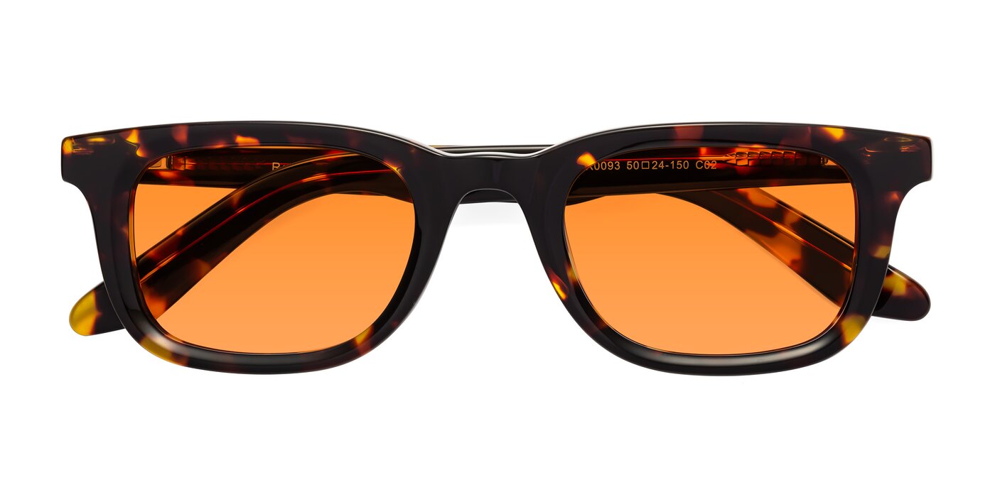 Reid - Tortoise Tinted Sunglasses
