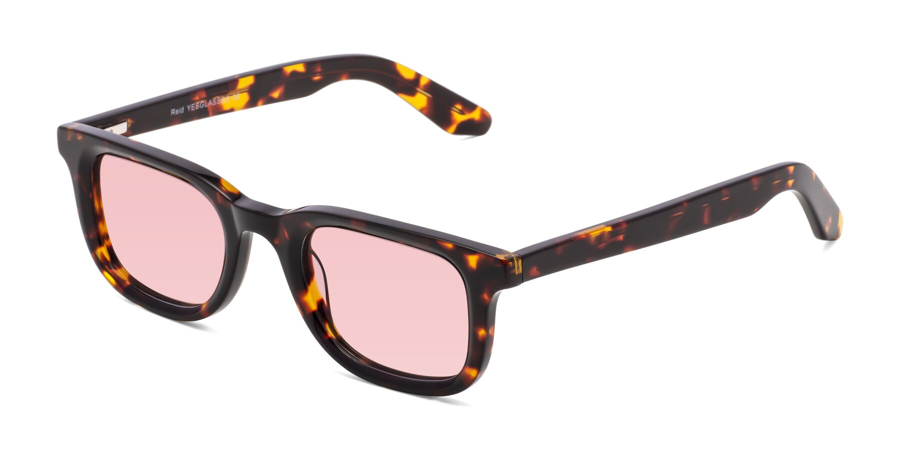 Angle of Reid in Tortoise with Light Garnet Tinted Lenses