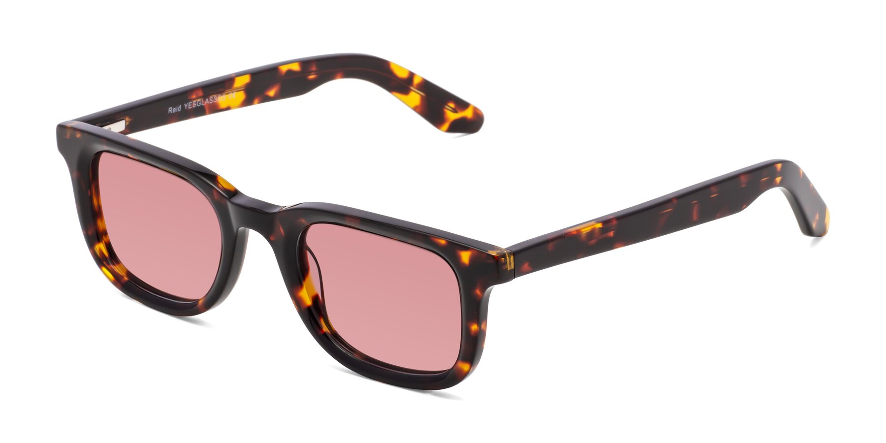 Angle of Reid in Tortoise with Medium Garnet Tinted Lenses