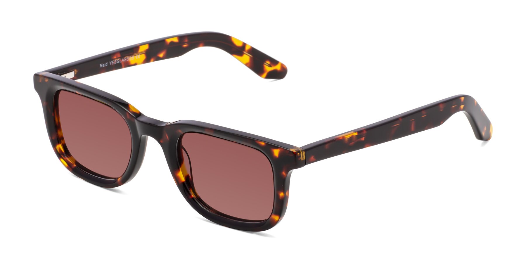 Angle of Reid in Tortoise with Garnet Tinted Lenses